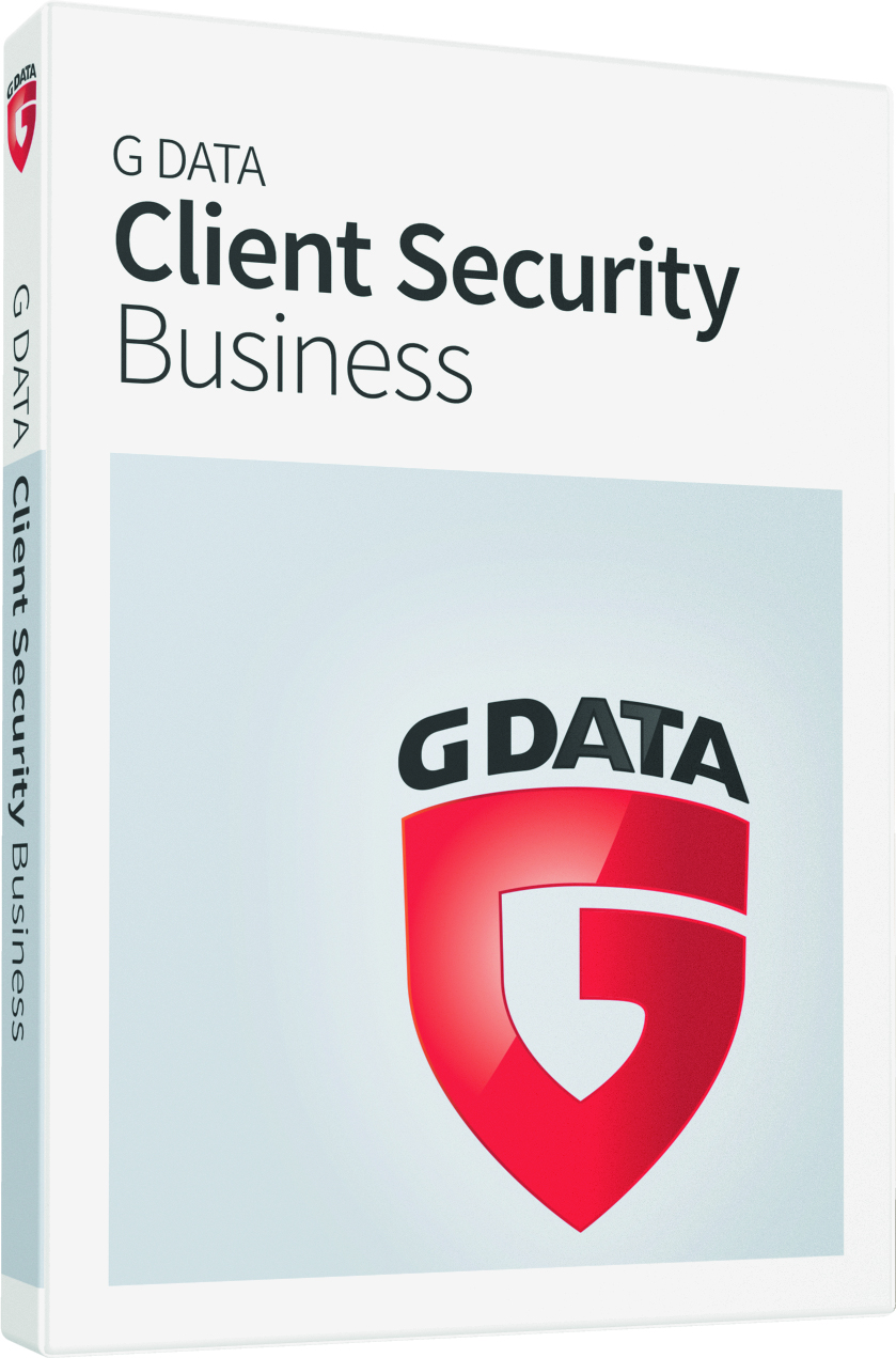 Client Security Business